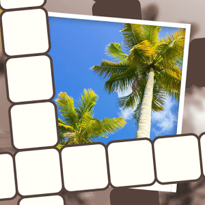 PP crossword Chapter 30 Answers